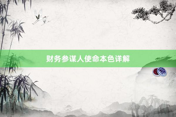 财务参谋人使命本色详解