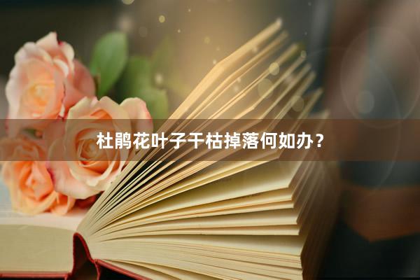 杜鹃花叶子干枯掉落何如办？